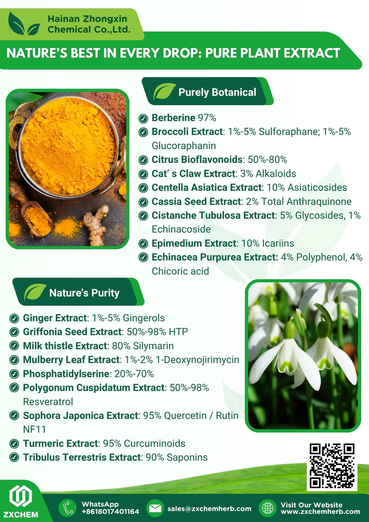 Plant Extracts brochure cover