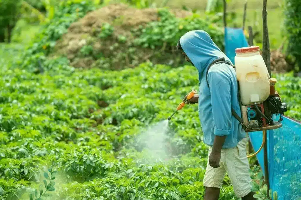 Grower applying foliar nutrition in a crop field