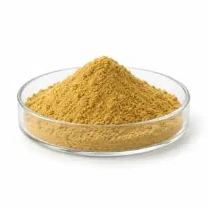 Pepaid™ Plant-Based Series — Plant-Derived Protein Hydrolysates